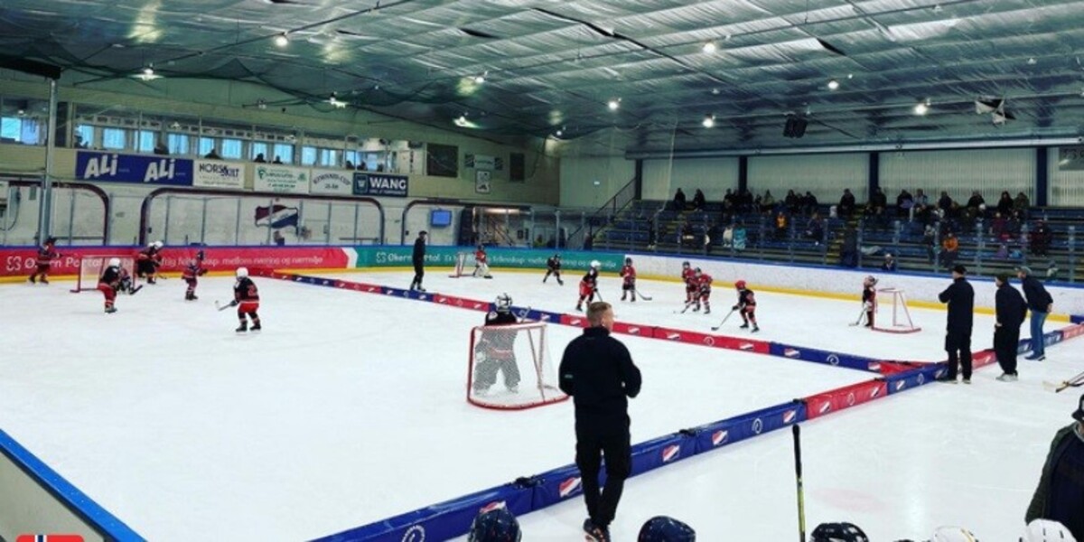 RINK BOARDS FOR SIHF SMALL-AREA GAMES