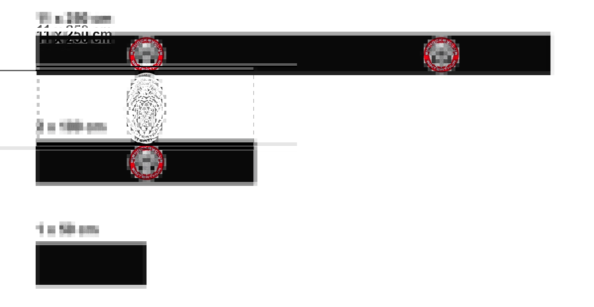 RINK BOARDS FOR SIHF SMALL-AREA GAMES